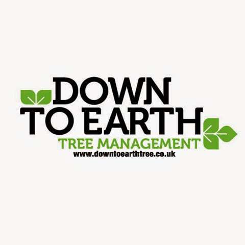 Down To Earth Tree Management photo